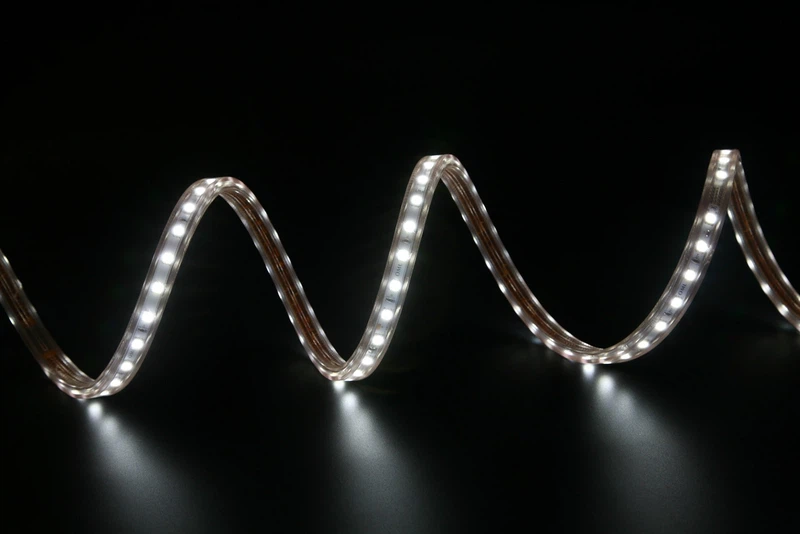 LEDS LEDS